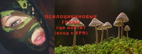 соль курить ск Россошь