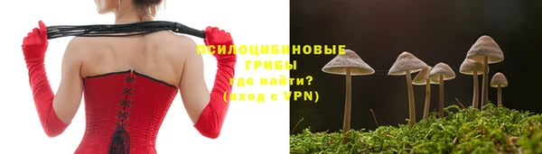 а пвп мука Ростов
